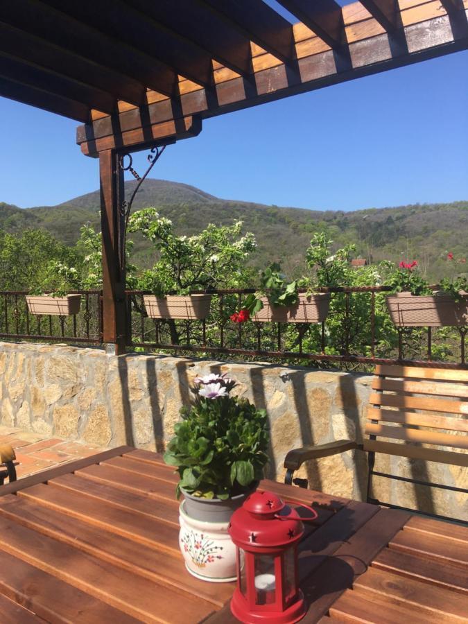 Apartman Casa Skerlak Malo Srediste Екстериор снимка